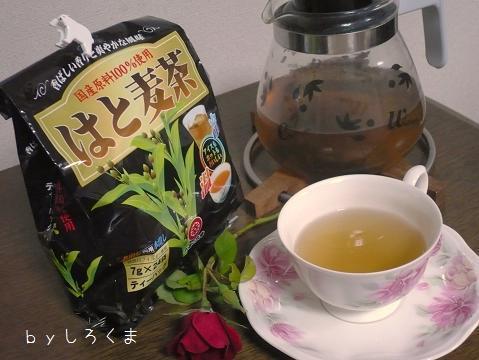 イボ ハトムギ 茶
